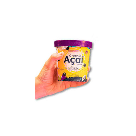 Açaí Bio Sorbet 400g